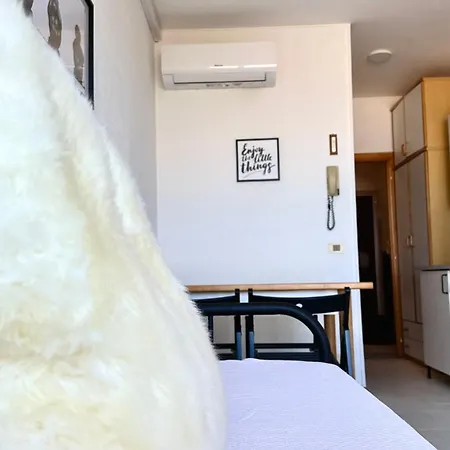 Se013 - Senigallia, Ampio Monolocale Fronte Mare Al Piramidi *